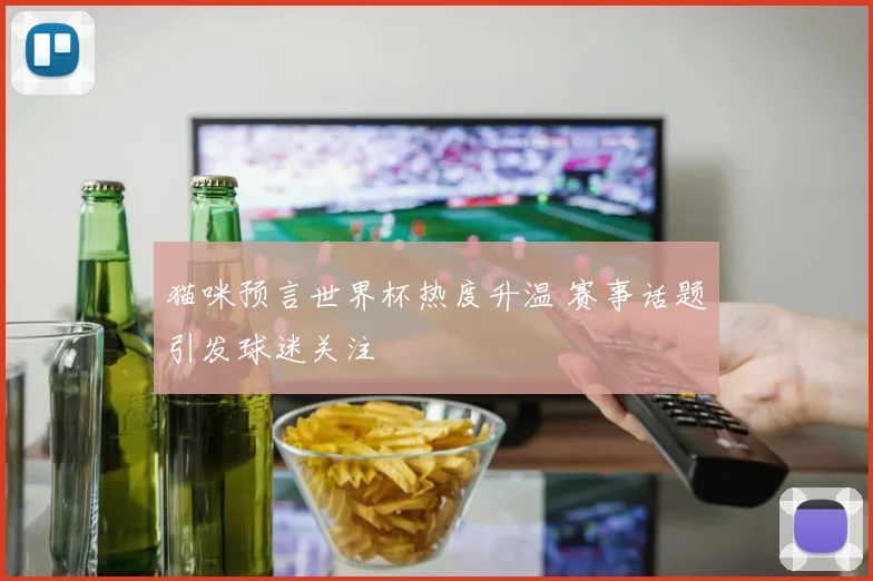 猫咪预言世界杯热度升温 赛事话题引发球迷关注