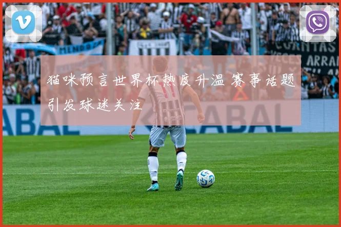 猫咪预言世界杯热度升温 赛事话题引发球迷关注