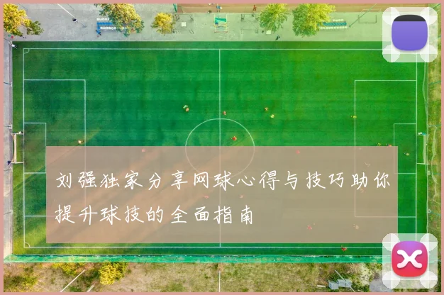 刘强独家分享网球心得与技巧助你提升球技的全面指南