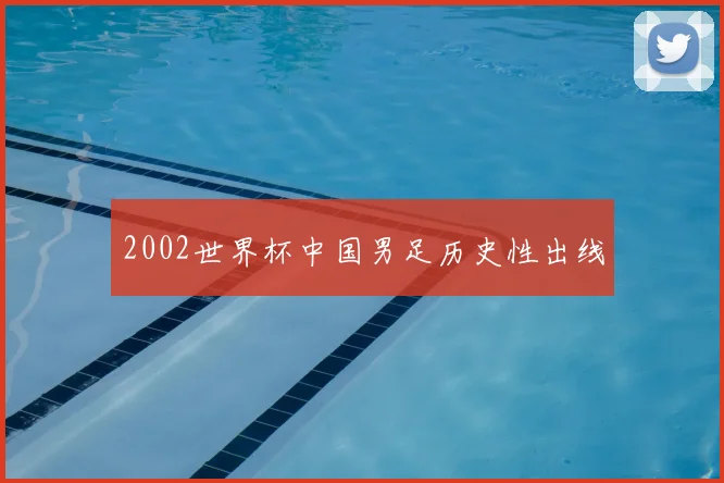 2002世界杯中国男足历史性出线