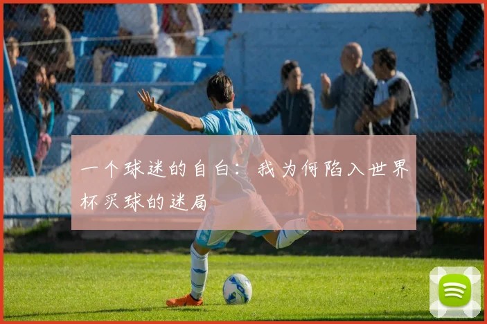 一个球迷的自白：我为何陷入世界杯买球的迷局