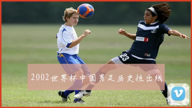 2002世界杯中国男足历史性出线