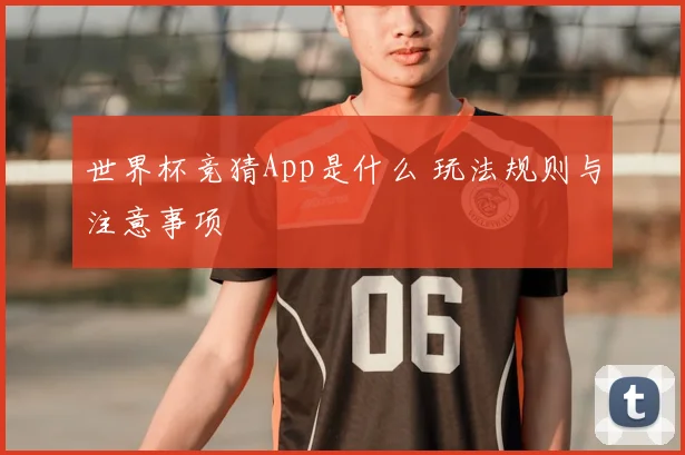 世界杯竞猜App是什么 玩法规则与注意事项