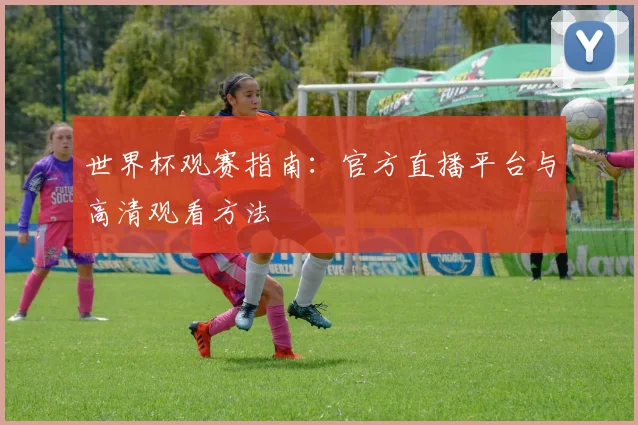世界杯观赛指南：官方直播平台与高清观看方法